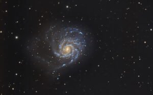 M101